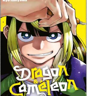 Dragon Et Caméléon FR Cover Image